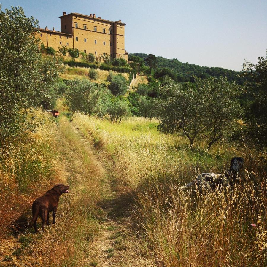 Castello Di Potentino Seggiano Екстериор снимка