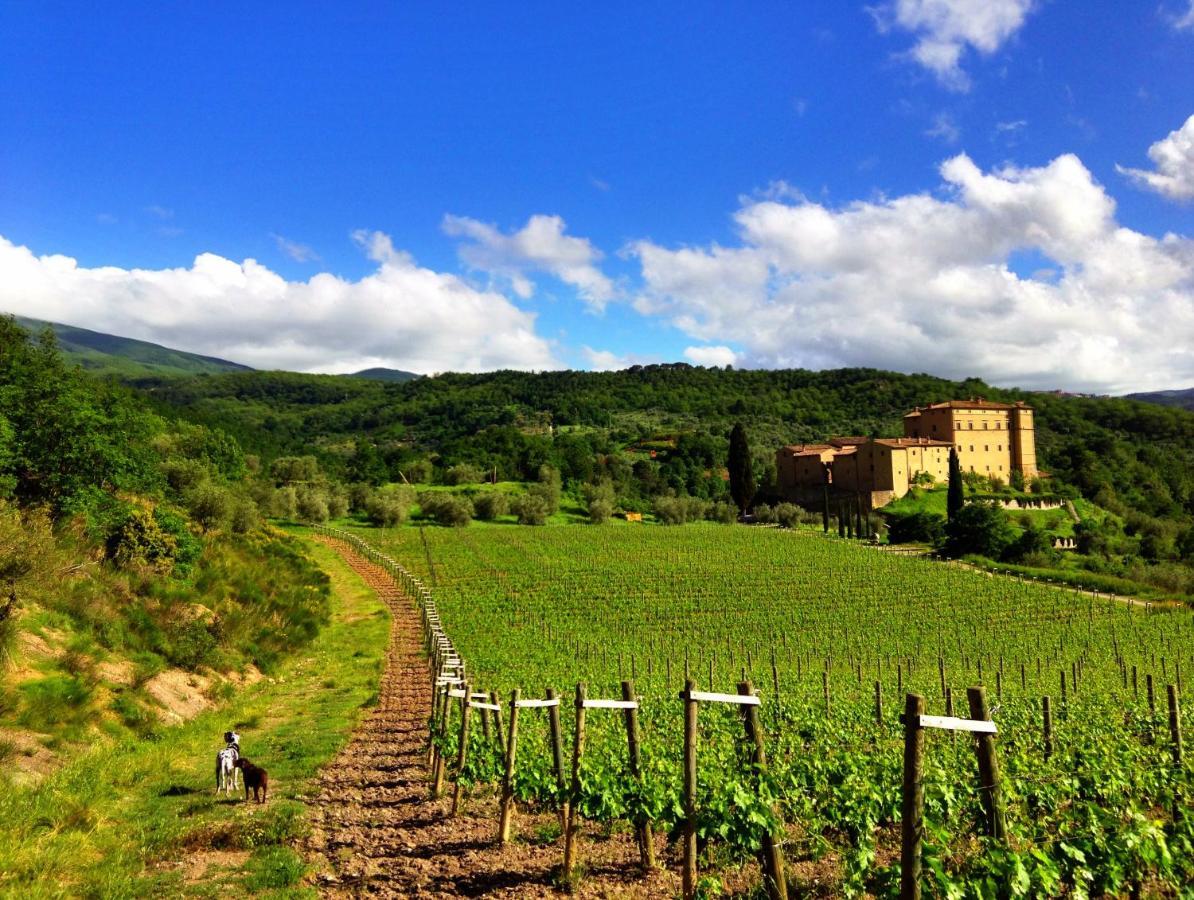 Castello Di Potentino Seggiano Екстериор снимка